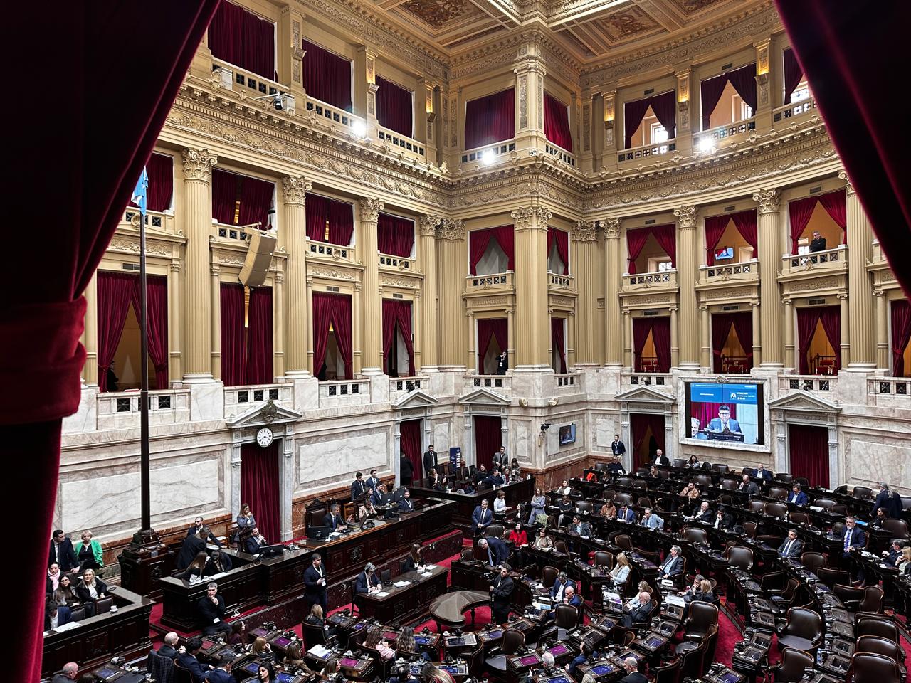 Diputados: la oposición avanzó con morosidad y discapacidad 